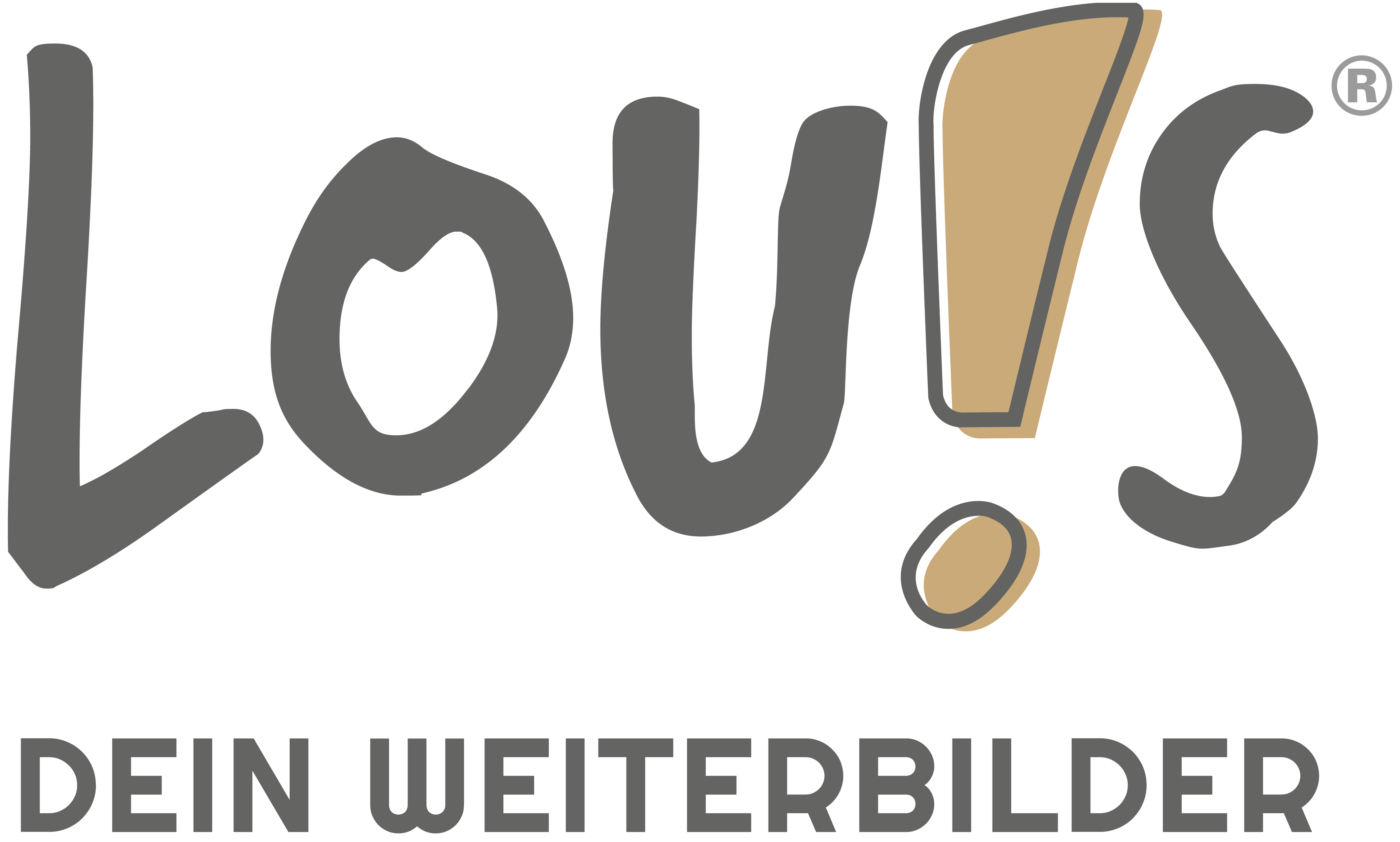 Logo in Großbuchstaben LOUIS DEIN WEITERBILDER (geschrieben als LOU!S)